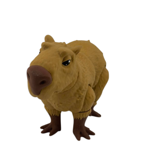 capibara1.png