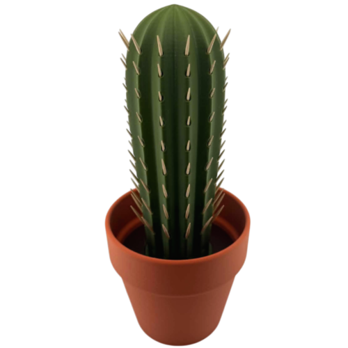 kaktus1.png