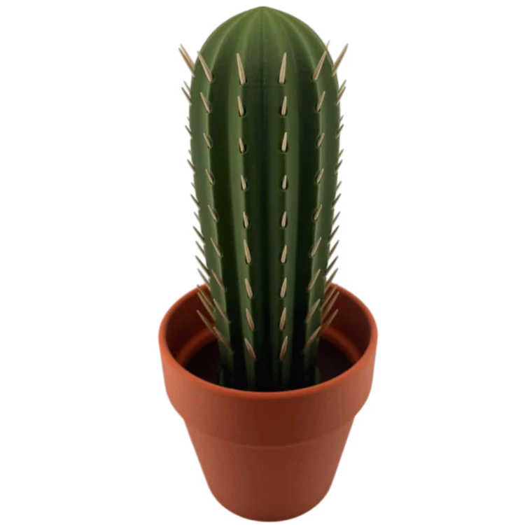 kaktus1.png