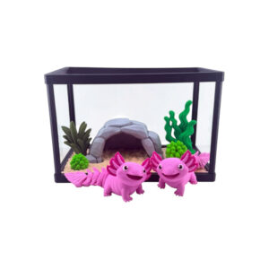 Akwarium z Aksolotlem