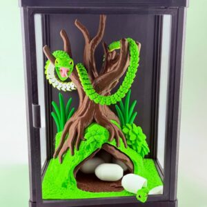 Leśne terrarium