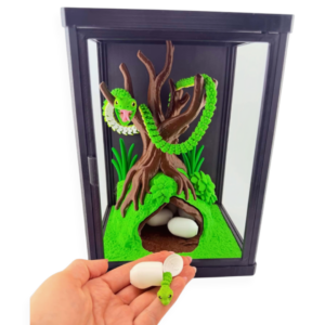 Leśne terrarium