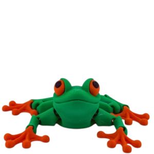 Ruchomy model żaby
